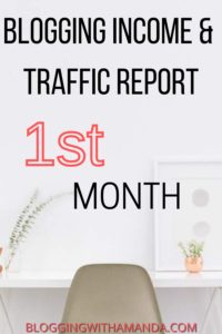 income and traffic report first month blogging