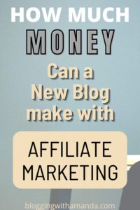 how much money can a new blogger make with affiliate marketing