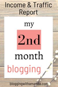 February income and traffic report month 2 blogging