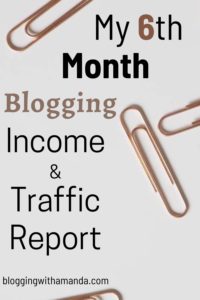 June income and traffic report, month 6 blogging